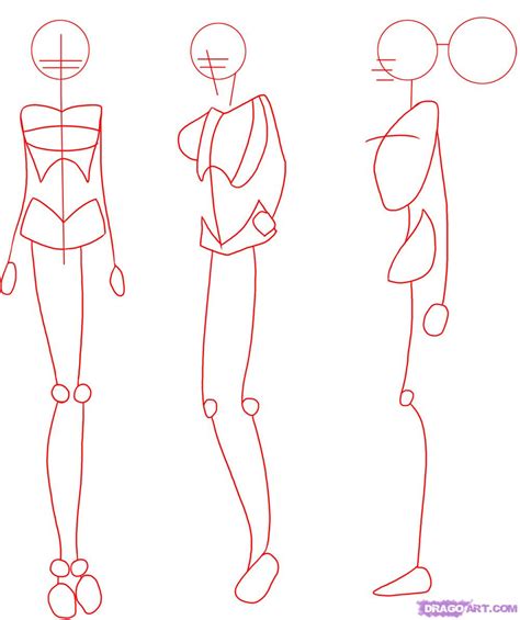 Female Body Structure Drawing At Getdrawings Free Download