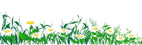 Daisies And Grass Png Clipart Picture Gallery Yopriceville High
