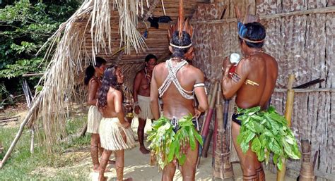 Protecting The Amazon Rainforest Make Indigenous Communities The