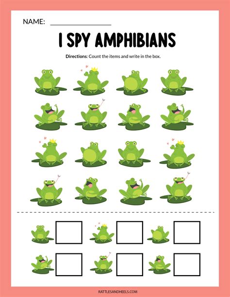 Amphibians Worksheets For Kids Free Printables Adanna Dill