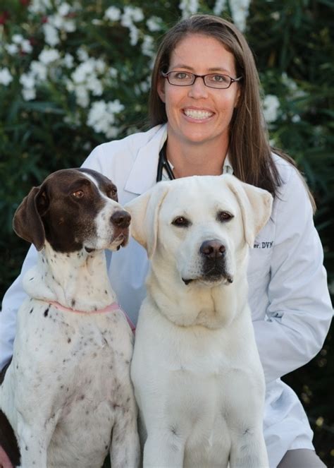 Bishop Ranch Veterinary Center Ask The Vet Canine Heart Disease By