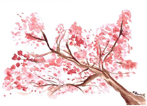 Aquarelle Peinture Fleur De Cerisier Art Art Japonais Fleur