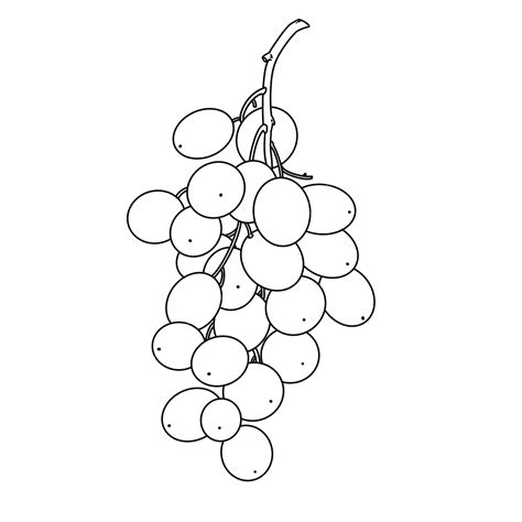 Green Grape Clipart Black And White Green Mention Grape Black And