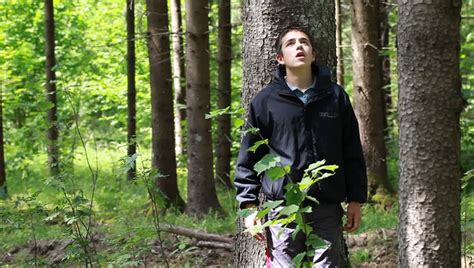 Boy Lost In The Woods Episode 9 Stock Footage Video 4285034 Shutterstock