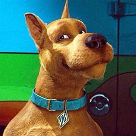 A few voice actors have been cast for the film… but it's the lack of one actor in particular that's caused a buzz on the internet. scooby doo live action movie | Tumblr