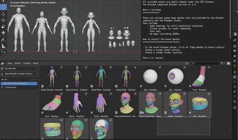 Download Blender Studio Free Human Base Meshes 3dart