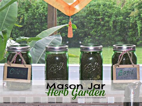 Create Your Very Own Herb Garden In A Mason Jar Diy