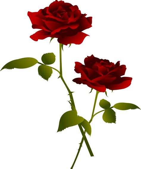 Red Rose Flower Clipart Vlrengbr