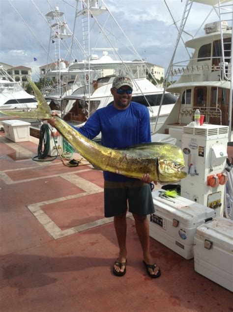 Punta Cana Sport Fishing Calendar