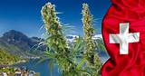 Is Marijuana Legal In Switzerland