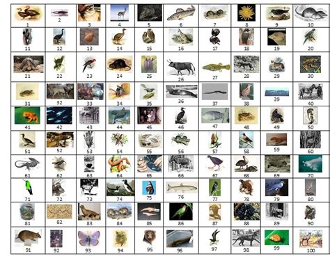 100 Tiny Recently Extinct Animals Images Quiz By