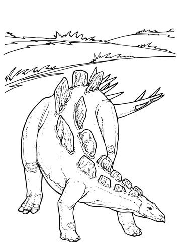 The dragonfly has unique vision due to the structure of the eyes. Wuerhosaurus Stegosaurid Dinosaur coloring page | Free ...