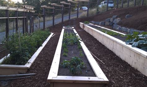 How to build a raised garden bed on. Raised beds on a slope - Eclectic - Landscape - Other - by ...