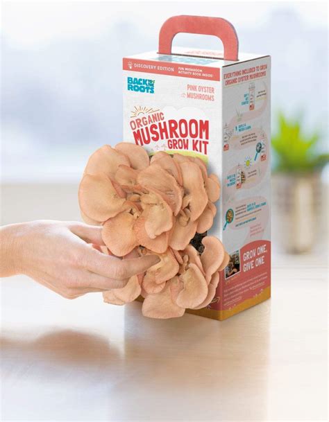 Mushroom Growing Kit Easy Mushroom Cultivation Learn Mushroom