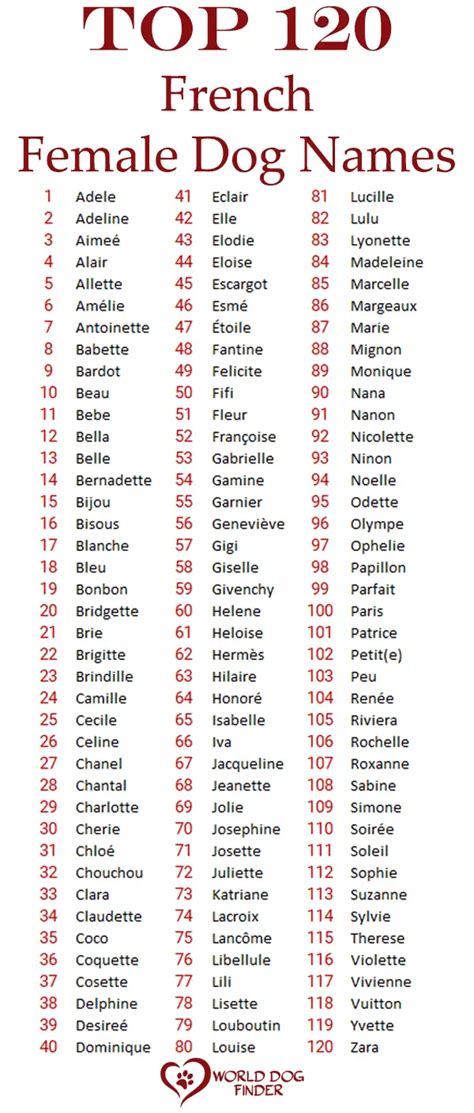 200 Most Popular French Dog Names World Dog Finder