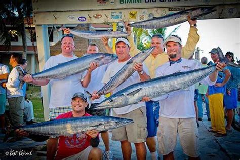 Bimini Big Game Clubs Wahoo Weekend Set To Kickoff March 3 Coastal