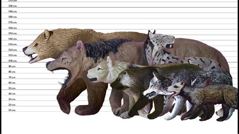 Top 107 Prehistoric Animals Size Comparison