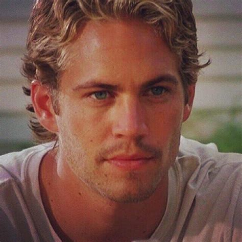 Paul The Fast And The Furious Paul Walker Movies Actor Paul Walker