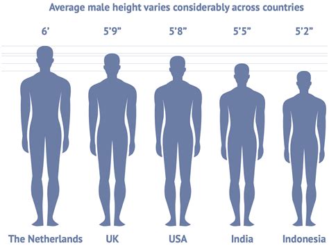 Averarge Male Height Chart Improved