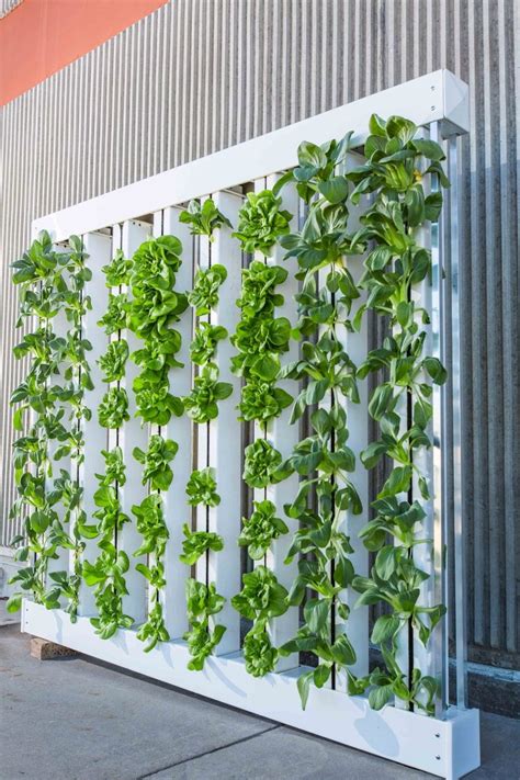 How To Create A Vertical Garden Inside Your Home