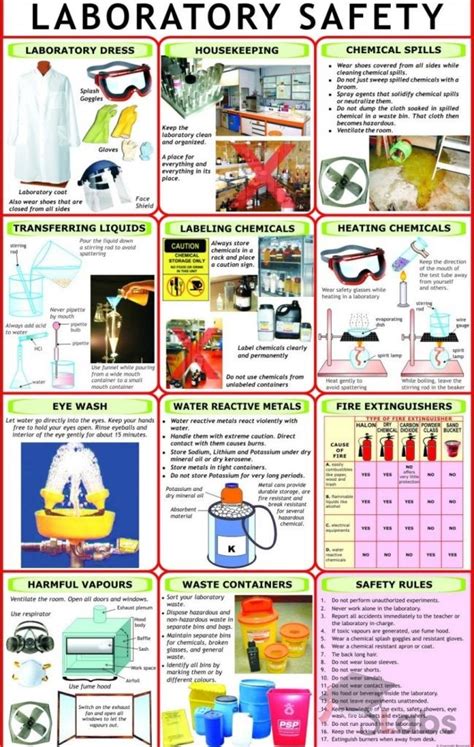 Laboratory Safety Chart Scholars Labs