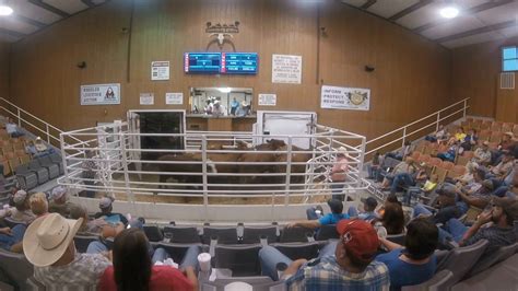 Wheeler and Sons Livestock Auction 9/24/16 Sale 