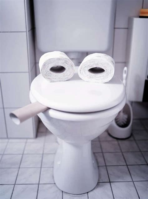 4 Funniest Not Harmful Toilet Pranks Rate My Toilet