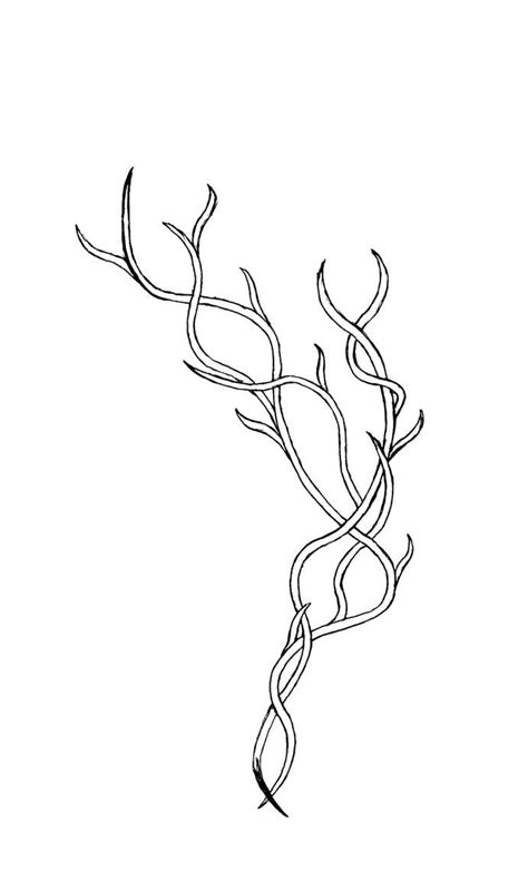 Varient Of The Vine Design By 3pieces Of Chaos Vine Drawing Vine