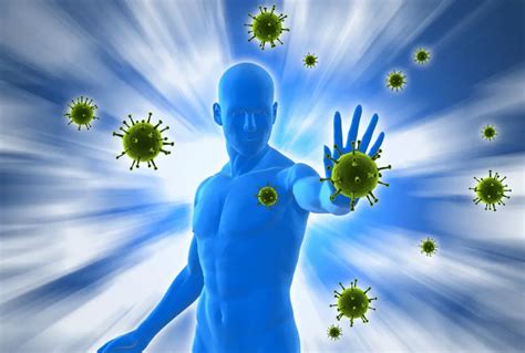 6 Dicas Para Você Fortalecer Seu Sistema Imunológico Rapidamente