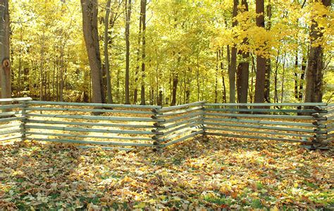 Snake Rail Fencing American Timber And Steel