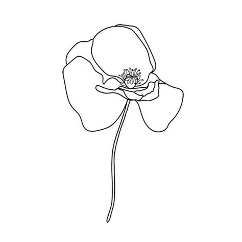 Poppy SVG Zwart-wit Poppy svg bestanden voor cricut Poppy | Etsy