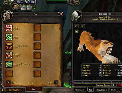 Wow Classic Best Hunter Pet | Best Laptop