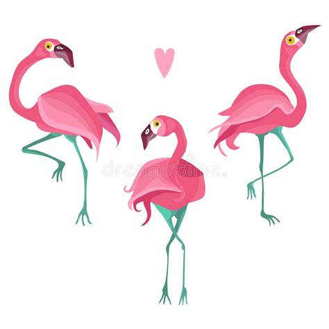 Colorful Flat Vector Flamingo Set Stock Vector Illustration Of