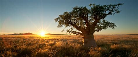 South africa is home to some of the world's most stunning and diverse scenery all packed into one these pictures will make you want to grab your camera and hop on the next flight to johannesburg. african landscape - Google Search | Landscape, Landscape ...
