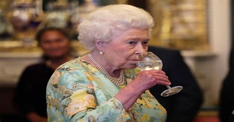 Cheers The Queen Knocks Back 4 Cocktails Daily