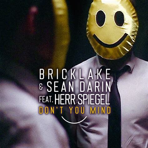Don T You Mind Bricklake And Sean Darin Feat Herr Spiegel