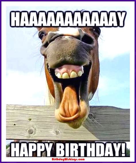 Friend, i hope that a million birthday wishes come true for you! Funny Happy Birthday Memes With cats, Dogs & Funny Animals