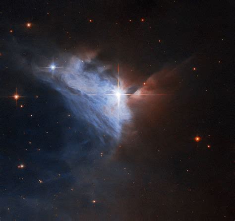 Nebulalar Bulutsular Ngc 2313