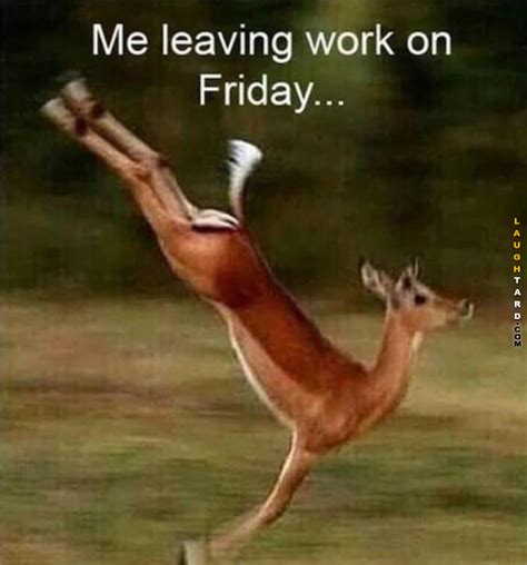 Leaving Work On Friday Funny Friday Memes Workout Quotes Funny
