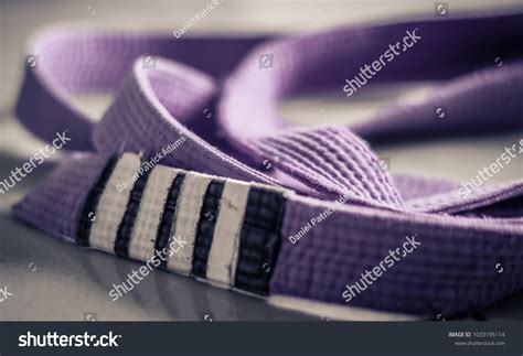 Purplebelt Images Stock Photos And Vectors Shutterstock