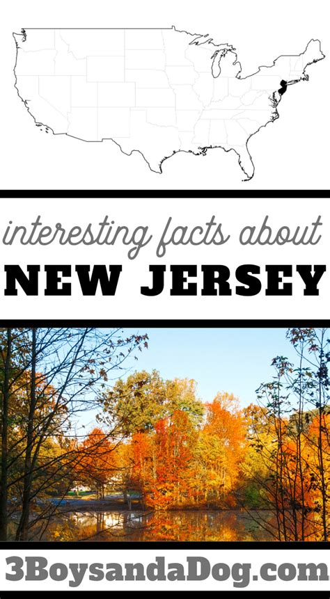 Interesting Facts About New Jersey For Kids