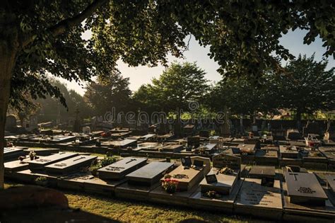 Peaceful Cemetery With Tombstones And Trees At Sunset In Tielt