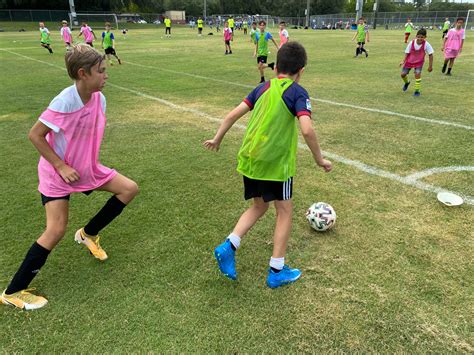 Usf Summer Soccer Camps For Boys And Girls In The Tampa Bay Area
