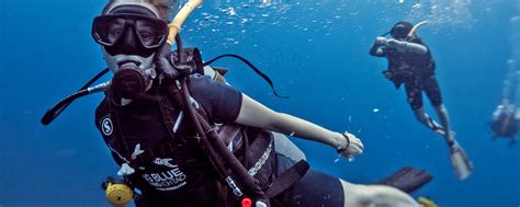 Open Water Diver Course Koh Tao Learn To Dive Big Blue Diving