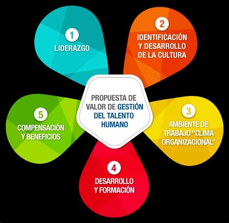 Diagrama De Flujo Empresa Q Toma De Decisiones Recursos Humanos