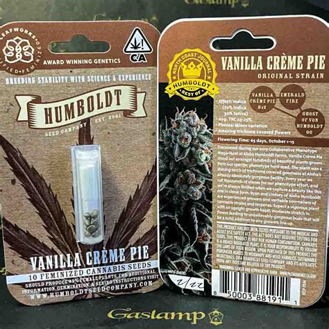 Humboldt Seed Company Vanilla Creme Pie 10 Feminized Seeds Gaslamp Seeds