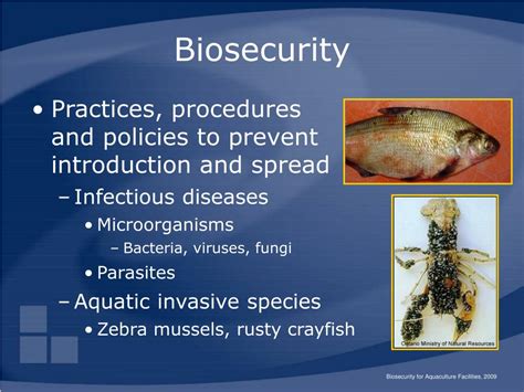 Ppt Biosecurity For Aquaculture Facilities Powerpoint Presentation