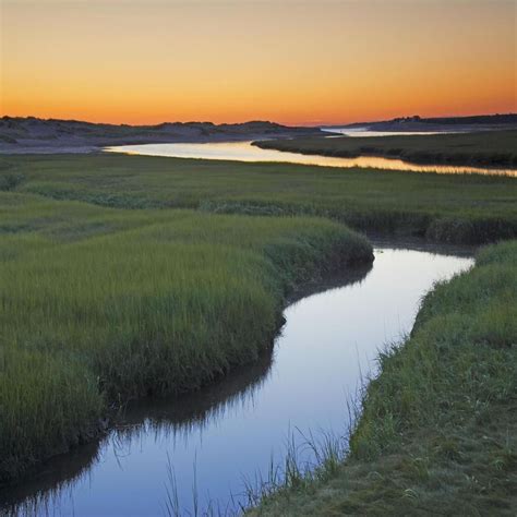 Salt Marsh At Sunrise Sandwich Cape Cod Massachusetts Usa Coastal