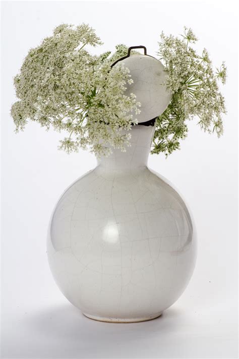 Kostenlose Foto Weiß Vase Keramik Stillleben Wilde Blume Blumen