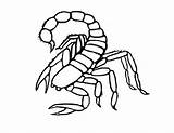 Scorpion Coloring Pages Color Scorpio Printable Animals Print Kids Animal Sheets Getcolorings Lovely sketch template